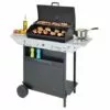 Barbecue à Gaz Campingaz XPERT 200 LS + Rocky Avec Four, Grill, Cuisinière Latérale - - -France Barbecue Soldes Boutique 12579471 1