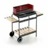 CAESAROO Barbecue Charbon De Bois Avec Structure En Acier Et Coupe-vent | Acier