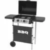 Barbecue à Gaz 2 Brûleurs Inox Silver Style