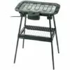 Barbecue Sur Pied Ou Table Techwood