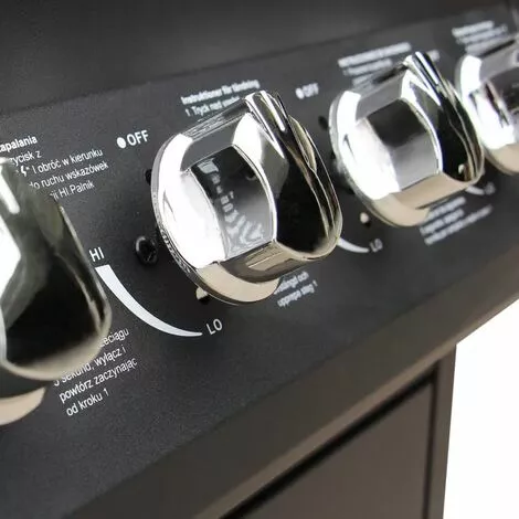 YOUTHUP Barbecue à Gaz 4 + 1 Zone De Cuisson Noir 6 YOUTHUP Barbecue à Gaz 4 + 1 Zone De Cuisson Noir – Image 4