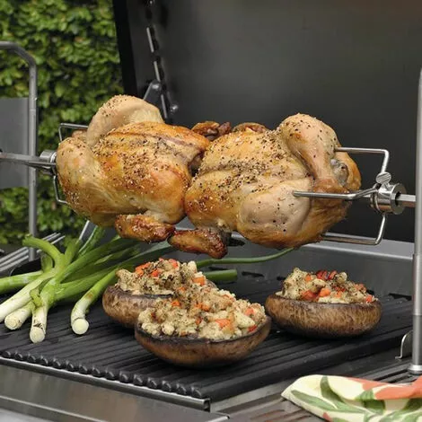 VINGO Barbecue à Brochettes Avec Moteur Pour Poulet Agneau,117cm, Bœuf Ou Rôti Roulé, Avec Broche Réglable En Hauteur Pour Jusqu'à 18 Kg - Argent 6 VINGO Barbecue à Brochettes Avec Moteur Pour Poulet Agneau,117cm, Bœuf Ou Rôti Roulé, Avec Broche Réglable En Hauteur Pour Jusqu'à 18 Kg - Argent – Image 4