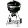 Barbecue NAPOLEON Pro 22K Charbon De Bois